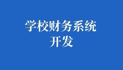 学校财务系统开发，优化教育行业的财务管理